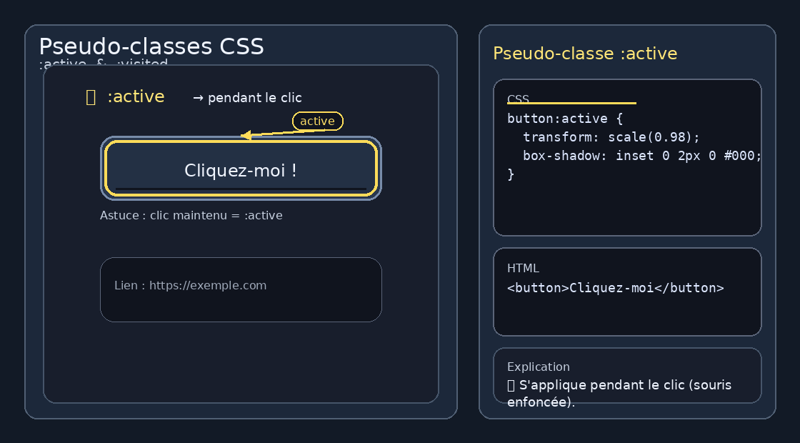 Pseudo-classes :active et :visited