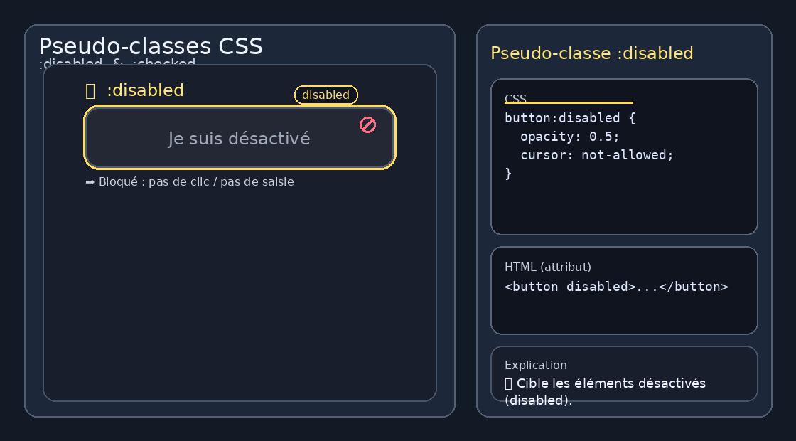 Pseudo-classes :disabled et :checked